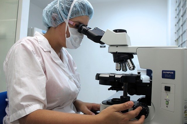 test specialistici veterinari